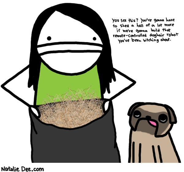 Natalie Dee comic: i really wish these fucking dogs would shed more * Text: 

You see this? You're gonna have to shed a hell of a lot more if we're gonna build that remote-controlled doghair robot you've been bitching about.



