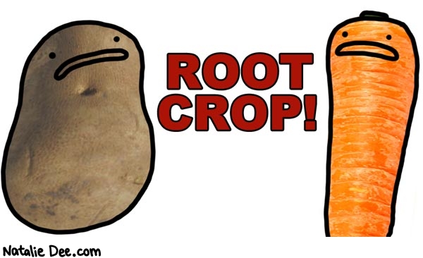 Natalie Dee comic: were all root crop * Text: root crop