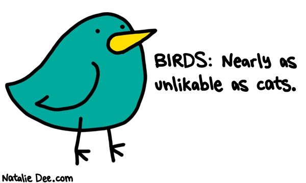 Natalie Dee comic: HW fuck you birds * Text: birds nearly as unlikable as cats