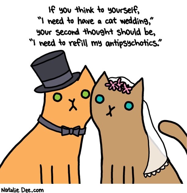Natalie Dee comic: show me a cat who wants to get married * Text: if you think to yourself i need to have a cat wedding your second thought should be i need to refill my antipsychotics
