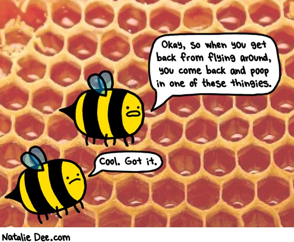 Natalie Dee comic: bee orientation * Text: 