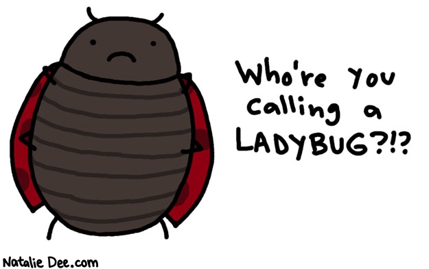 Natalie Dee comic: he is 100 percent dudelybug * Text: whore you calling a ladybug