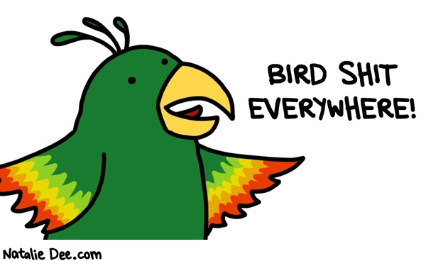 Natalie Dee comic: this is the first thing i think when i briefly consider a pet bird * Text: 