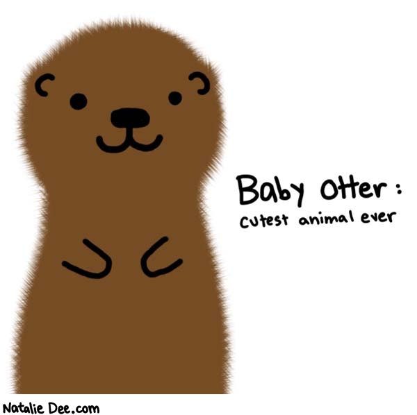 Natalie Dee comic: cute cute cute * Text: 

Baby Otter: cutest animal ever



