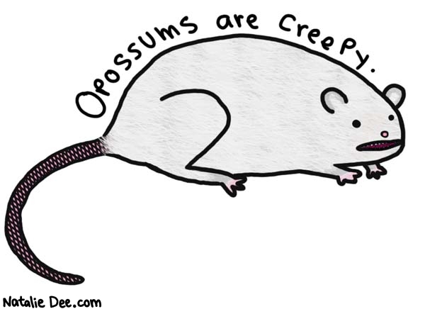 Natalie Dee comic: and they are hard to draw without making them look like rats * Text: 
Opossums are creepy.



