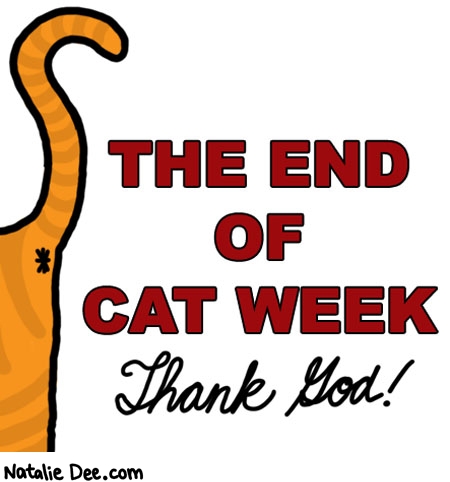 Natalie Dee comic: CW cat week is over * Text: the end of cat week thank god