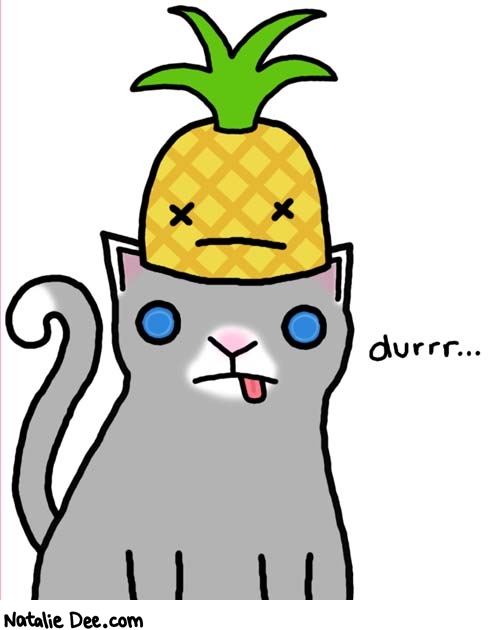 Natalie Dee comic: cats r dumb * Text: 

cats r dumb


durrr...



