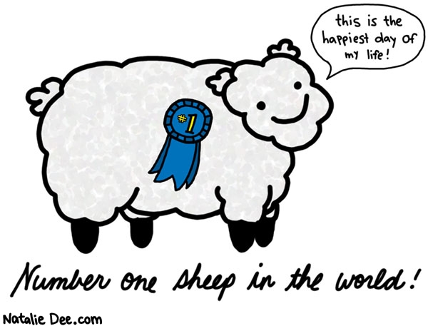 Natalie Dee comic: annual sheep contest * Text: this is the happiest day of my life number one sheep in the world