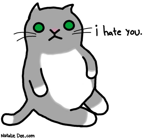Natalie Dee comic: cats hate you and everyone else * Text: 

i hate you.



