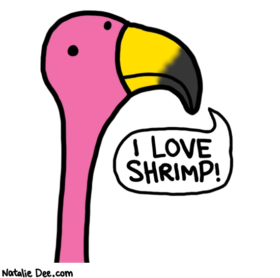 Natalie Dee comic: flamingos love shrimp * Text: i love shrimp