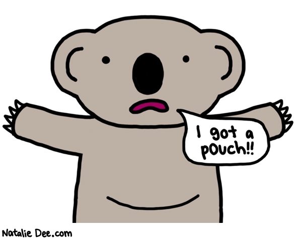 Natalie Dee comic: why did i have to learn that koalas have pouches from a childrens book * Text: i got a pouch