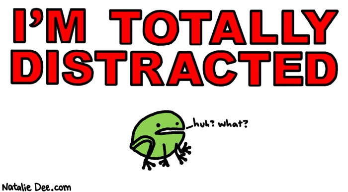 Natalie Dee comic: what sorry i missed that * Text: i'm totally distracted frog