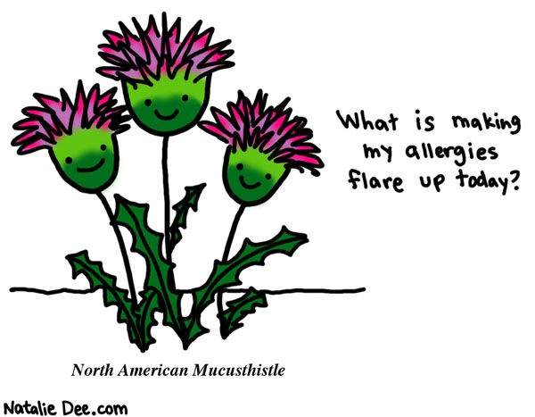 Natalie Dee comic: why cant i breathe i dont even go outside at all * Text: what is making my allergies flare up today? north american mucusthistle