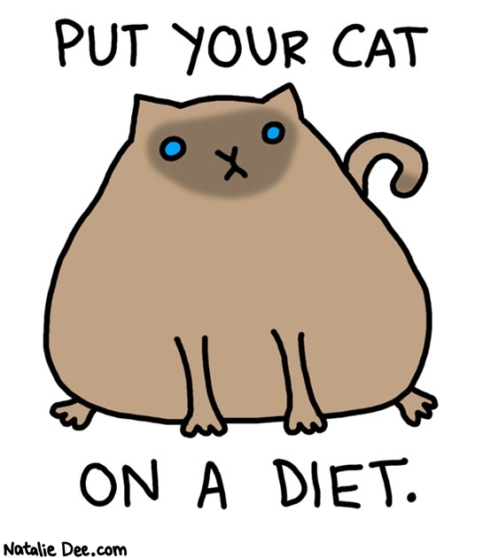Natalie Dee comic: that cat is fucking corpulent * Text: put your cat on a diet.