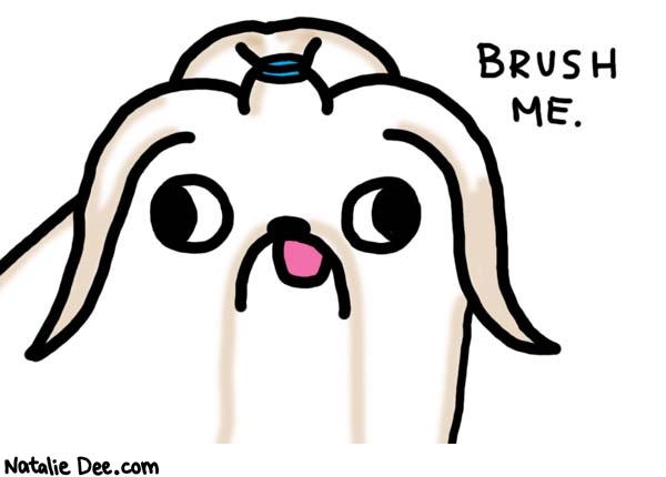 Natalie Dee comic: i would like a bow also please * Text: 

BRUSH ME.



