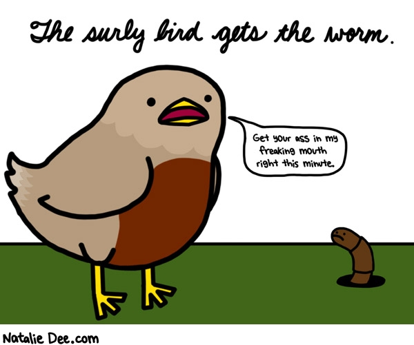 Natalie Dee comic: surly bird * Text: 
