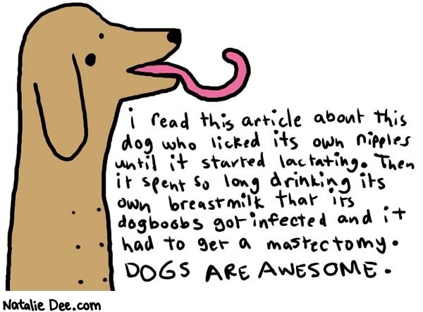 Natalie Dee comic: dogs are awesome * Text: 

i read this article about this dog who licked its own nipples until it started lactating. Then it spent so long drinking its own breastmilk that its dogboobs got infected and it had to get a mastectomy. DOGS ARE AWESOME.



